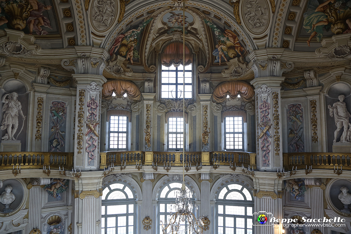 VBS_6093 - Sotto il Cervo - Palazzina di Caccia di Stupinigi.jpg